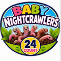 Baby Nightcrawlers