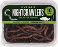 10 CT. NIGHTCRAWLERS