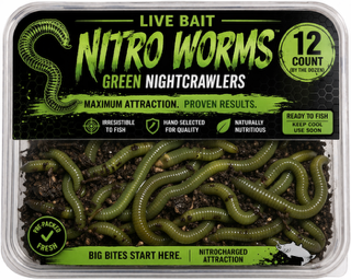 12 CT. GREEN / NITRO NIGHTCRAWLERS