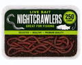 250 CT. NIGHTCRAWLERS