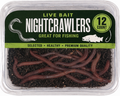 12 CT. NIGHTCRAWLERS